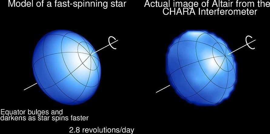 Model and CHARA interferometer image of the fast-spinning star Altair.