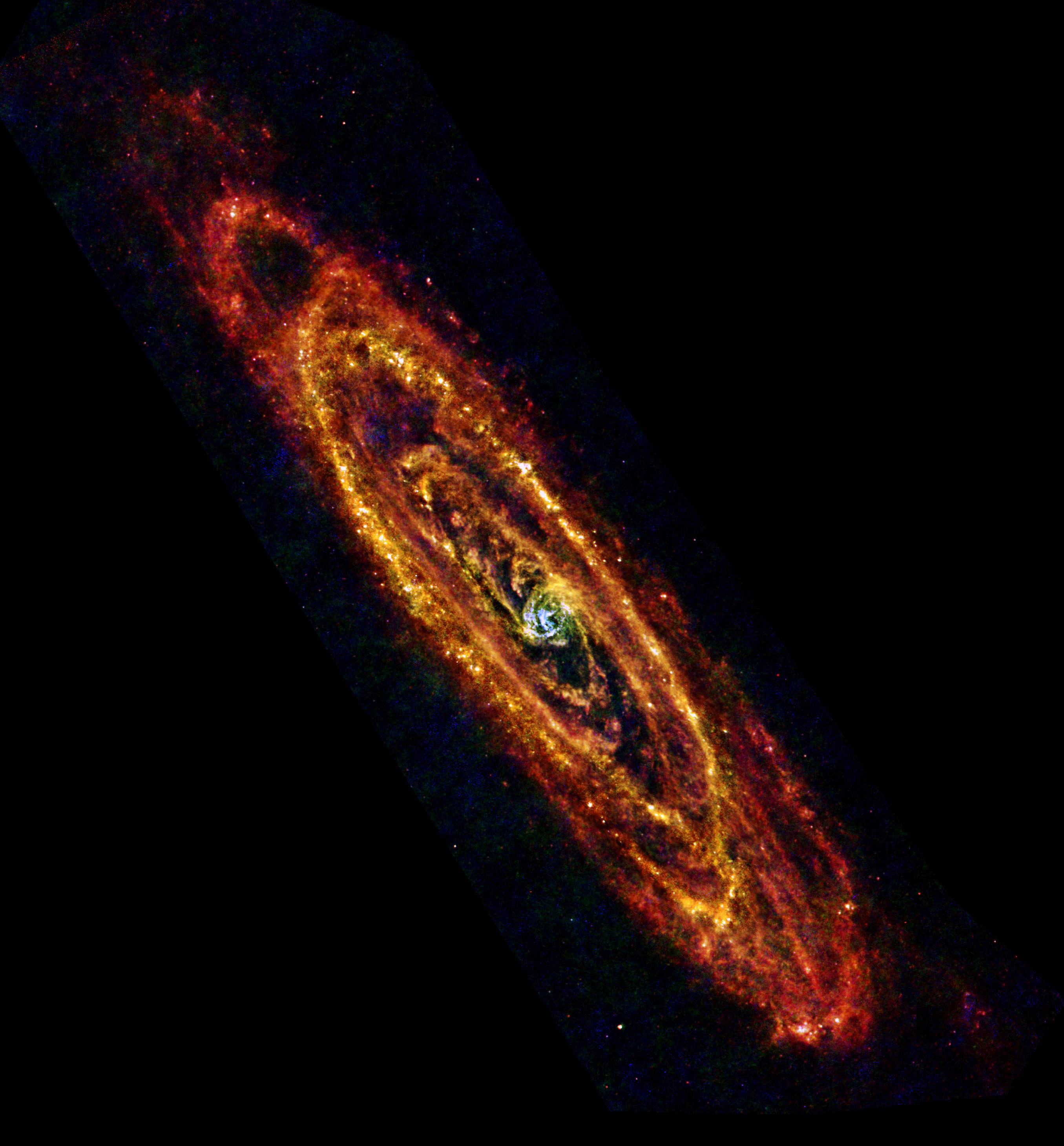 Herschel far-infrared image of the Andromeda Galaxy's cold dust rings