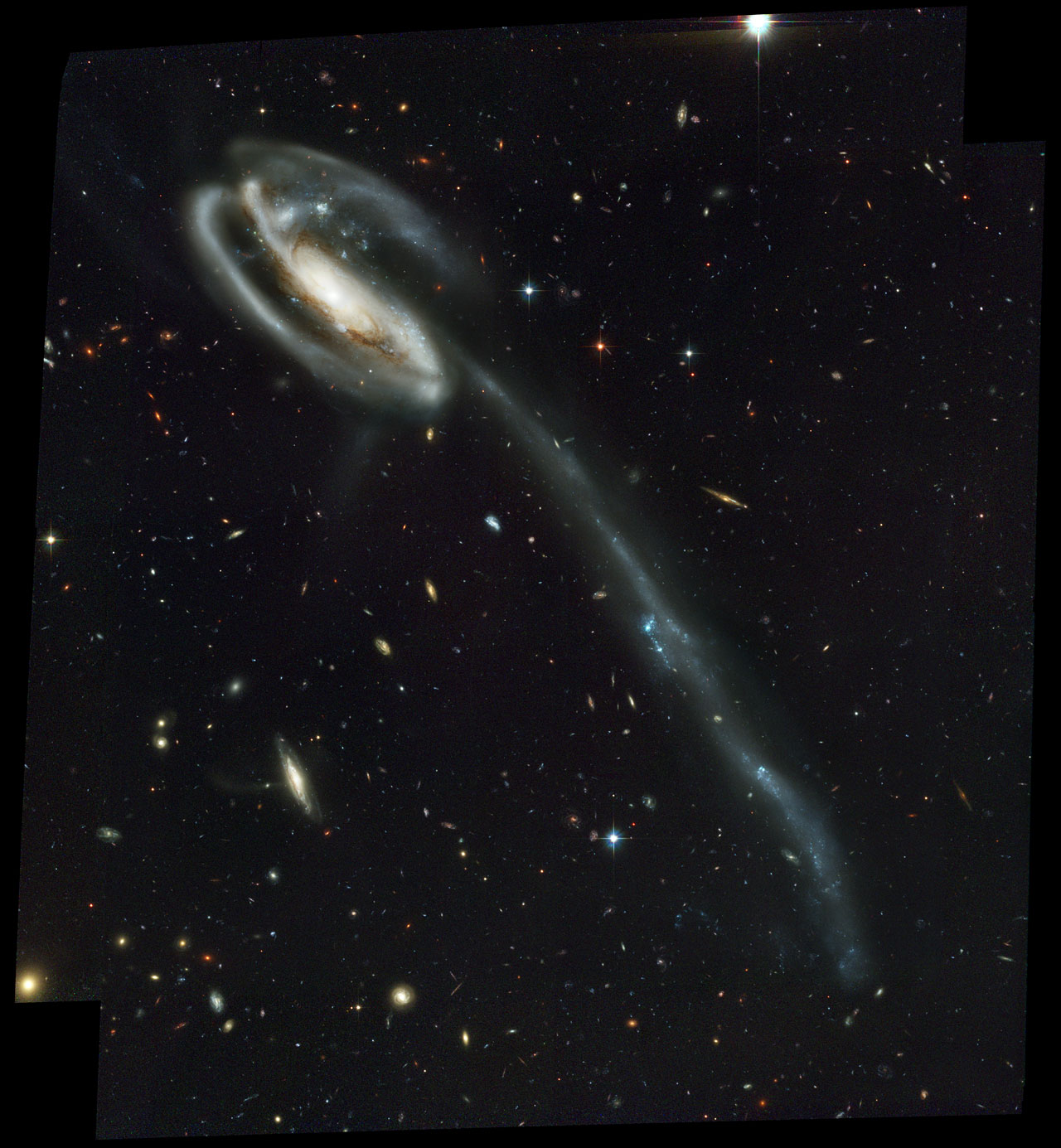 The Tadpole Galaxy Arp 188 in Draco — Hubble image showing a disrupted spiral trailing an enormous tail of stars.