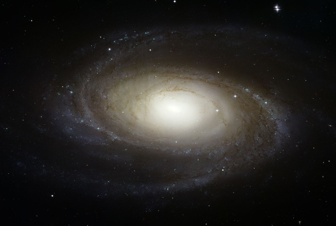Hubble image of the spiral galaxy Messier 81 in Ursa Major.