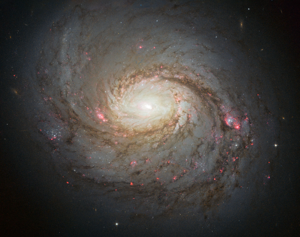Hubble image of the barred spiral galaxy Messier 77 in Cetus.