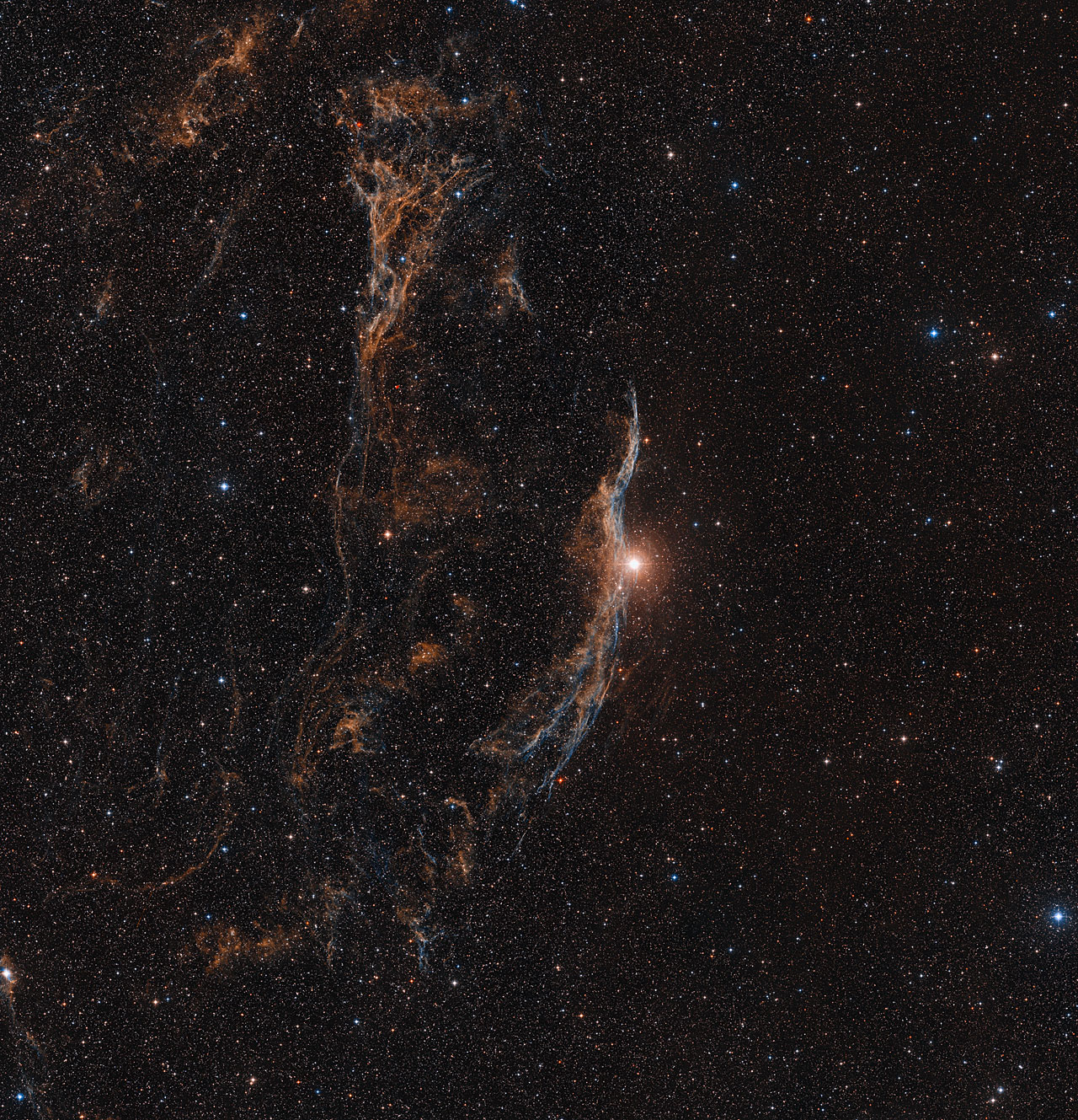 A wide ground-based view of the entire Veil Nebula / Cygnus Loop showing the full circular shell of filaments, including the Western Veil and Eastern Veil arcs.