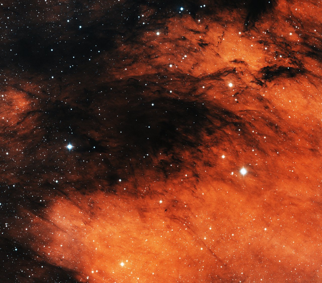 The North America Nebula NGC 7000 near the star Deneb in Cygnus.