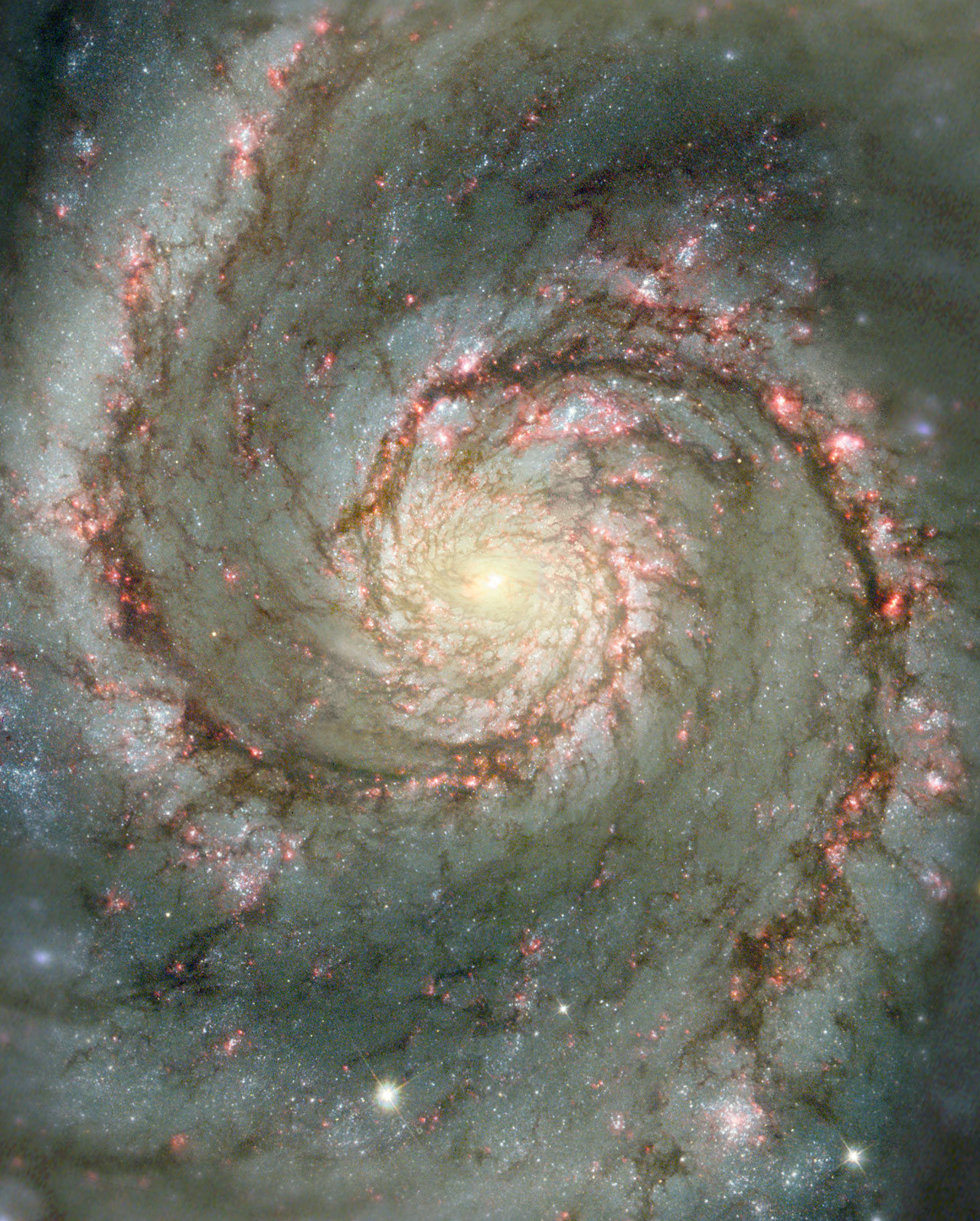 Hubble image of the heart of the Whirlpool Galaxy M51 showing the bright nucleus and tightly wound inner spiral arms and dust.